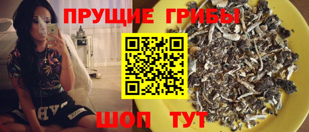 Псилоцибиновые грибы Magic Shrooms Котельники