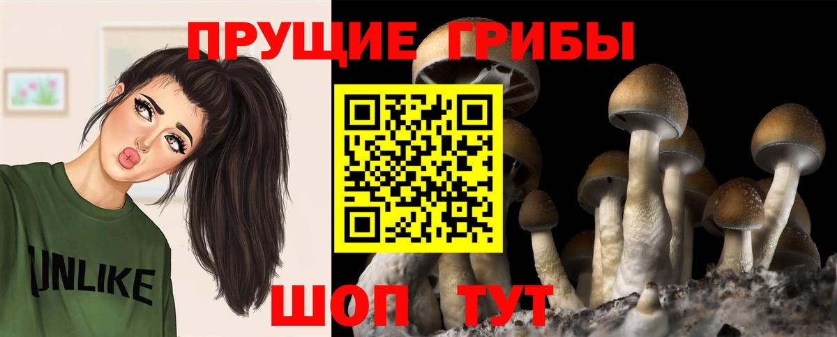Галлюциногенные грибы мухоморы  Вход с VPN  закладка  Котельники  Псилоцибиновые грибы Cubensis 